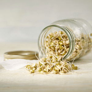 Conseils pratiques pour faire germer des graines à la maison 